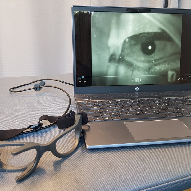 Vestibular physio surrey